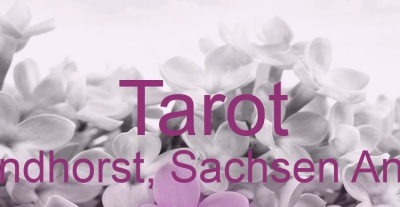 Tarot Brandhorst, Sachsen Anhalt | Top-Experten für Kartenlegen, Wahrsagen, Hellsehen, Zukunftsdeutung. Tarot Brandhorst, Sachsen Anhalt | Top-Experten für Kartenlegen, Wahrsagen, Hellsehen, Zukunftsdeutung.